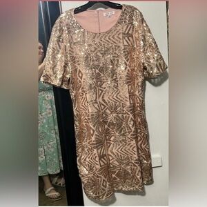 Beautiful sequin rose gold dress size 18
